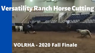 Lucas Ayers Cutting on Wild Hair Dream  AQHA Versatility Ranch Horse Cutting [upl. by Leiram]