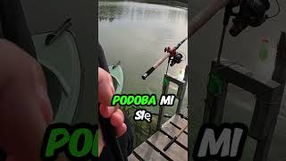 REKORD POLSKI KARPIA F1  film nagrywany w wrześniu feeder fishing karp carps carp fish [upl. by Amleht]