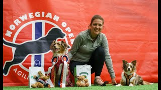 Lexies best runs  Norwegian Open Agility  2024 [upl. by Gayelord]