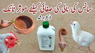 How to Clear a Chickens Airway  Free Air for Poultry Respiratory Problems  Dr ARSHAD [upl. by Ahidam]