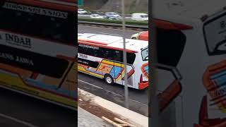 JB3JB2JB5 busworld バス busmaniacommunity busmania rosaliaindah harapanjaya [upl. by Lednor481]