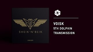 Voiski  5th Dolphin Transmission [upl. by Demitria659]