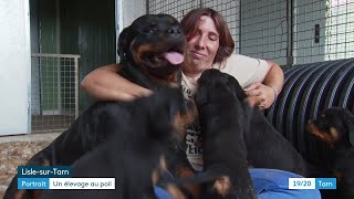 Eleveuse de chiens un métier exigeant mais exaltant [upl. by Eiramrebma453]