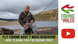 Fly Fishing NantyMoch Reservoir Wales  HOW TO bank fish for WILD BROWN TROUT using Wet Flies [upl. by Allisan490]