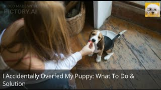 I Accidentally Overfed My Puppy  What To Do amp Solution [upl. by Imak]