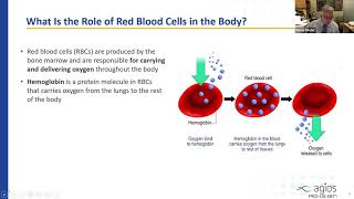 An Overview of PK Deficiency [upl. by Dlorej]