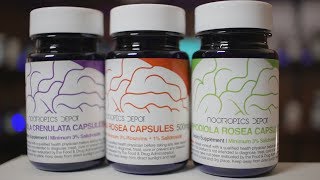 Rhodiola Crenulata and Rosea Review [upl. by Nylad]