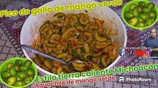 Pico de gallo de mango verde al puro estilo de tierra caliente Michoacán guaches [upl. by Dermot]