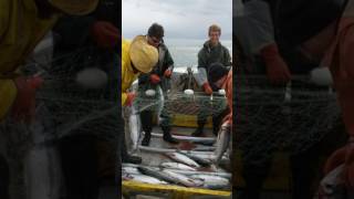 Set Net fishing in Naknek Alaska [upl. by Miki749]