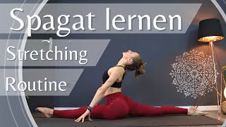 Spagat Stretching Routine  Hüfte mobilisieren und dehnen  Dehnübungen um den Spagat zu lernen [upl. by Millford120]