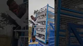 pigeon racingpigeonloft birds oneloftrace farming pigeonracing birdlovers racingpegion vlog [upl. by Renita]