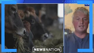 Maine farmer All milk was pulled from shelves due to forever chemicals  NewsNation Prime [upl. by Iago]