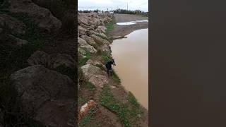 Il est propre mon loulou 🐕 il a réussi à esquiver cette géante pédiluve face à la mer méditerranée [upl. by Nahgiem74]