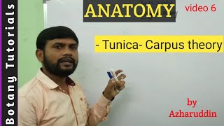 Tunica Carpus theory [upl. by Nnayr]