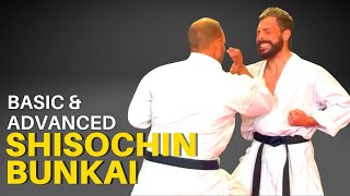 Shisochin Bunkai for Goju Ryu Basic and Advanced [upl. by Adnamor]