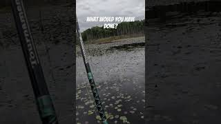 Gassing the size midfight like a true fisherman🎣😂 bassfishing bass fishing [upl. by Norit]