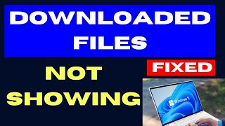 Downloaded Files Not Showing on Windows 11  10 Fixed [upl. by Eillehs]