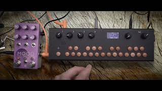 Critter and Guitari Organelle S with Chase Bliss Mood mk2 [upl. by Hako]