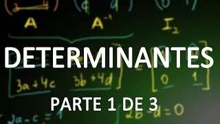 Determinantes parte 1  Matrizes 2x2 e 3x3 [upl. by Roselin]