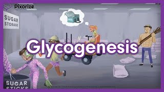 Glycogenesis Mnemonic for USMLE [upl. by Kcir981]