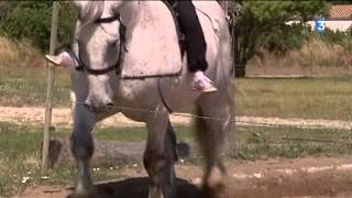 Quartiers dété voltige à cheval à SaintGeorgesdOléron [upl. by Geis]