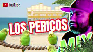 Los Pericos Mix  Lo mejor del reggae  mix playero  Musica Limpiar La Casa [upl. by Oirogerg]