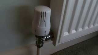 How to fix a thermostatic radiator valve if your radiator is not heating up [upl. by Acinorev]