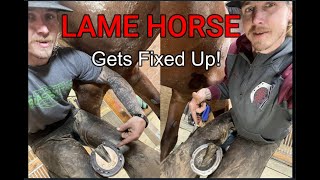 Shoeing a Lame Horse after Veterinarian Lameness EvaluationAnother Farrier at the same Barn too [upl. by Yacano]