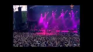 The Offspring  Want You Bad Live Best Performance HD [upl. by Annice203]