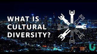 What is cultural diversity  Language Insight [upl. by Murton276]