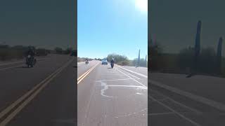 WILD RARE RABBIT FOUND RIDING A CB650 HONDAREALLY YEP not really SUBSCRIBE Please do [upl. by Leavy]