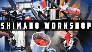 AUSFÜHRLICHER SHIMANO BREMSEN WORKSHOP  MONTAGE ENTLÜFTEN amp EINSTELLEN 1000 € HARDTAIL PROJEJEKT [upl. by Naig956]