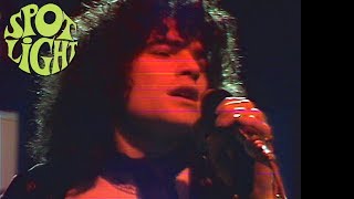 Nazareth  Love Hurts Auftritt im ORF 1975 [upl. by Ecienal]