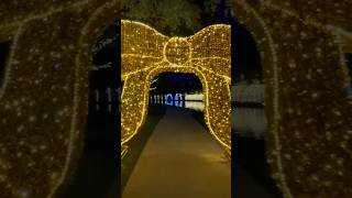 Lights along The Woodlands Waterway shine bright through the holidays creating a festive wonderland [upl. by Yltsew]