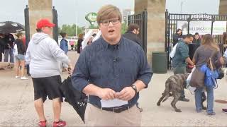 Billings Mustangs host 100 dogs in Pups in the Park event [upl. by Eenahpets638]