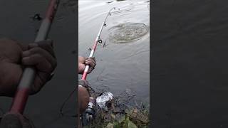 Big Local Fishing fishing fishman fish video nature [upl. by Gayla]