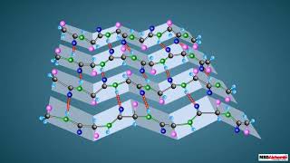 Proteins and their Structure [upl. by Torp]