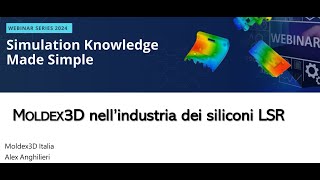 20241023 analisi e simulazione processi LSR Siliconi Mercoledì [upl. by Ydospahr67]