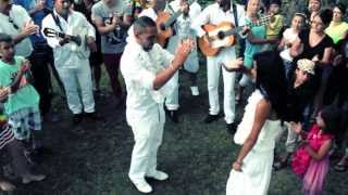 Groupe Gipsy David El Gitano Clip mariage Gitan je taime tellement gitan davidelgitano gipsy [upl. by Akisey648]