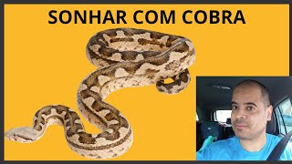 SONHAR COM COBRA [upl. by Hershell]