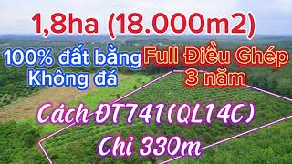 200 Bán 18ha 18200m2 Điều Ghép năm 3  Cách ĐT741 chỉ 330m  100 đất đỏ bằng chang ko đá [upl. by Wiencke]