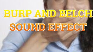 Burp and Belch Sound Effect  Human Burp [upl. by Raleigh639]