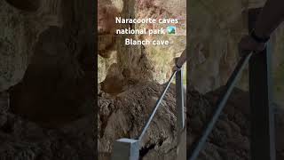 Naracoorte caves national parks 🏞️ South Australia 🇦🇺 cave travel everyone highlights [upl. by Ylas]