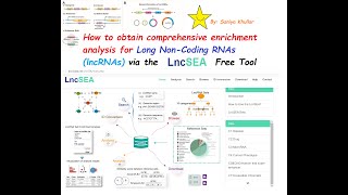 Analysis and Enrichment of Long NonCoding RNA lncRNA for Humans via LncSEAs Comprehensive Tool [upl. by Animahs]