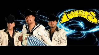 ANDO BIEN ARREGLADO Y CUMBIAS EN VIVO BY ALAMEÑOS DE LA SIERRA [upl. by Kcirddor]