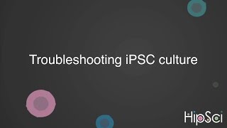 HipSci Troubleshooting iPSC culture [upl. by Divan]