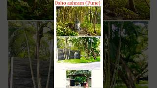 Inside the Cult of Osho The Ashram That Changed India Forever [upl. by Nataniel365]