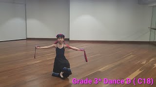 RAD Grade 3 Dance D  C18 [upl. by Akfir]