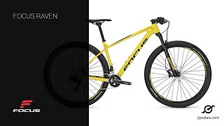 MTB FOCUS RAVEN [upl. by Doro]