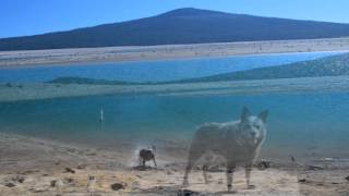 Wickiup Reservoir OR Camping The Big Empty Sept 2015 [upl. by Itnahs]